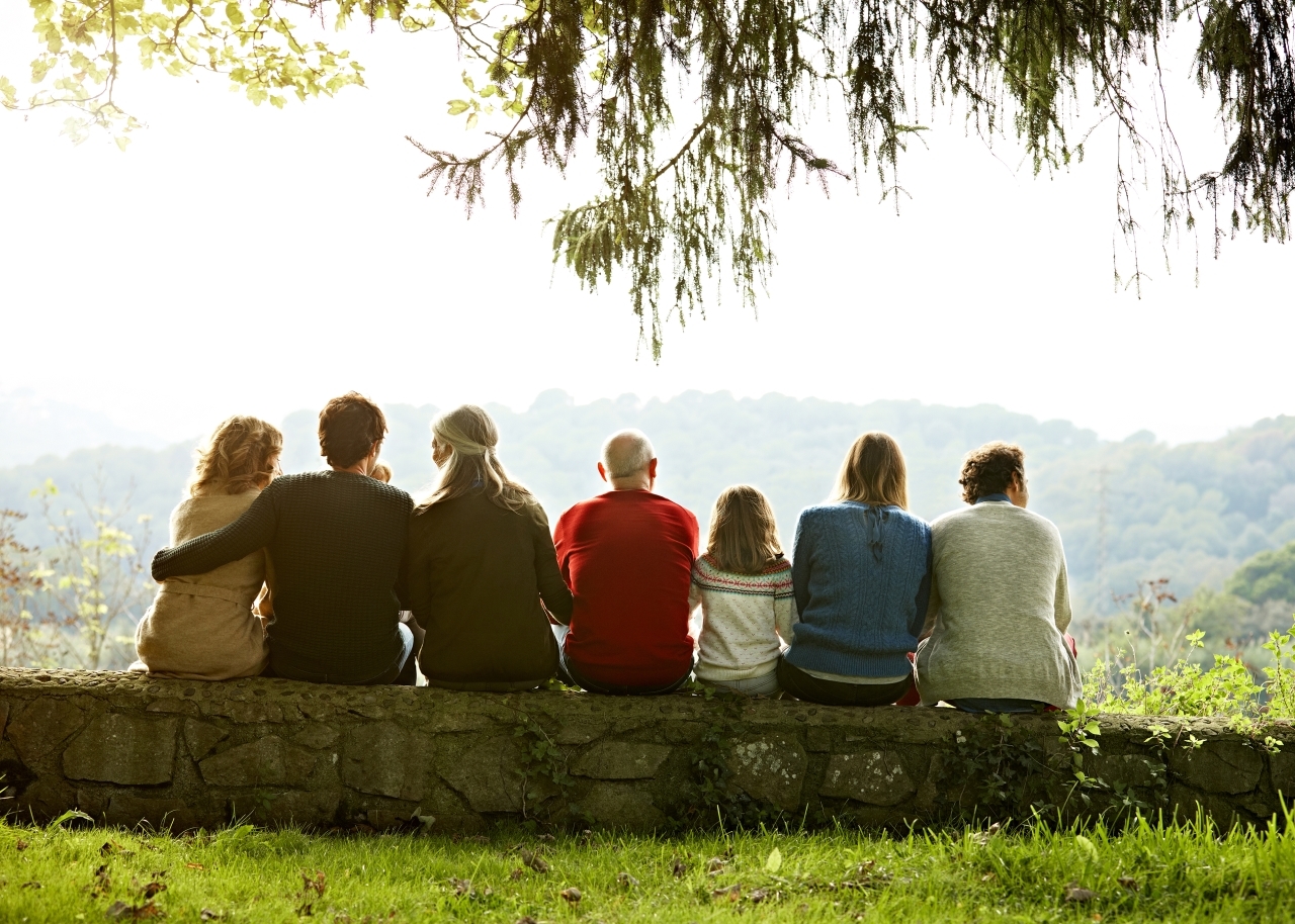 Rear view of multi-generation family relaxing in row on retaining wall against clear sky